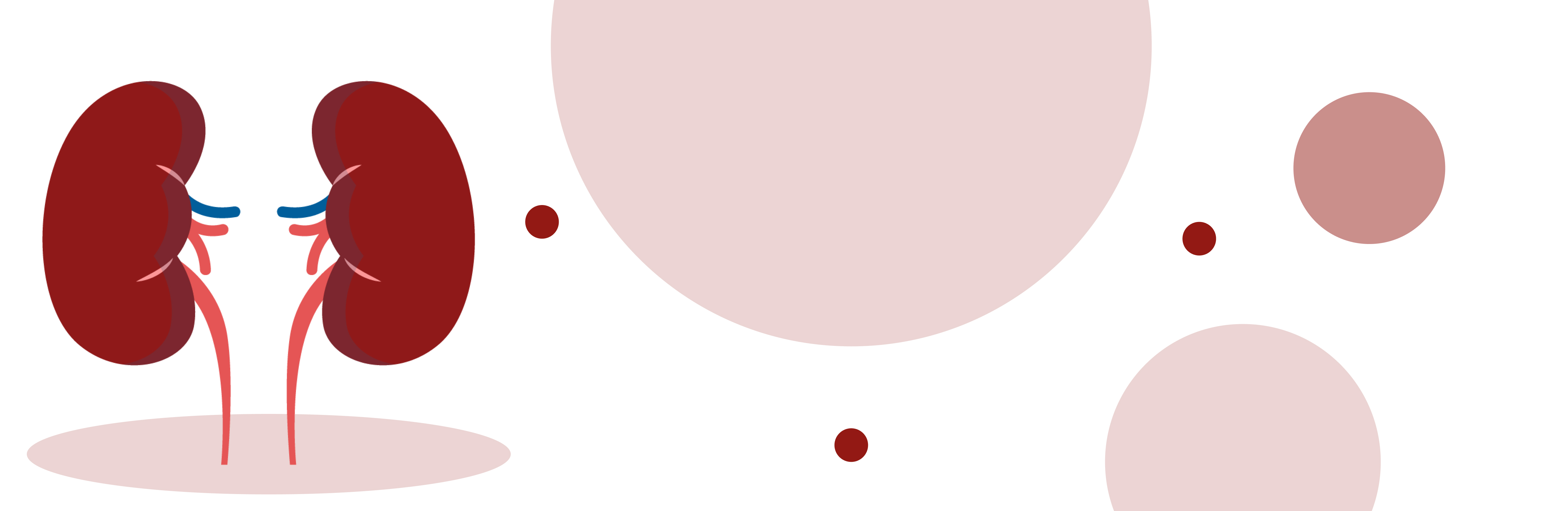 Безопасность и эффективность стероидных антагонистов минералокортикоидных рецепторов у пациентов с терминальной почечной недостаточностью, находящихся на диализе: систематический обзор и метаанализ рандомизированных контролируемых исследований Безопасность и эффективность стероидных антагонистов минералокортикоидных рецепторов у пациентов с терминальной почечной недостаточностью, находящихся на диализе: систематический обзор и метаанализ рандомизированных контролируемых исследований