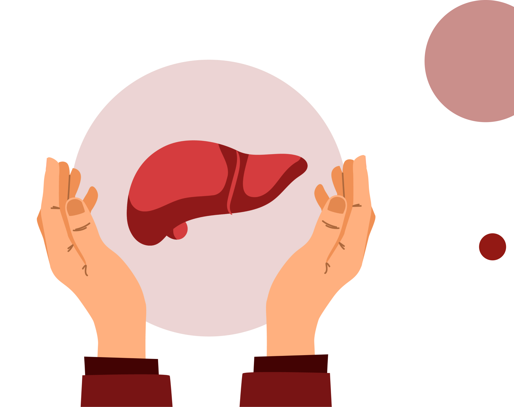 Первая пересадка свиной печени живому человеку: смерть пациента не перечёркивает успех