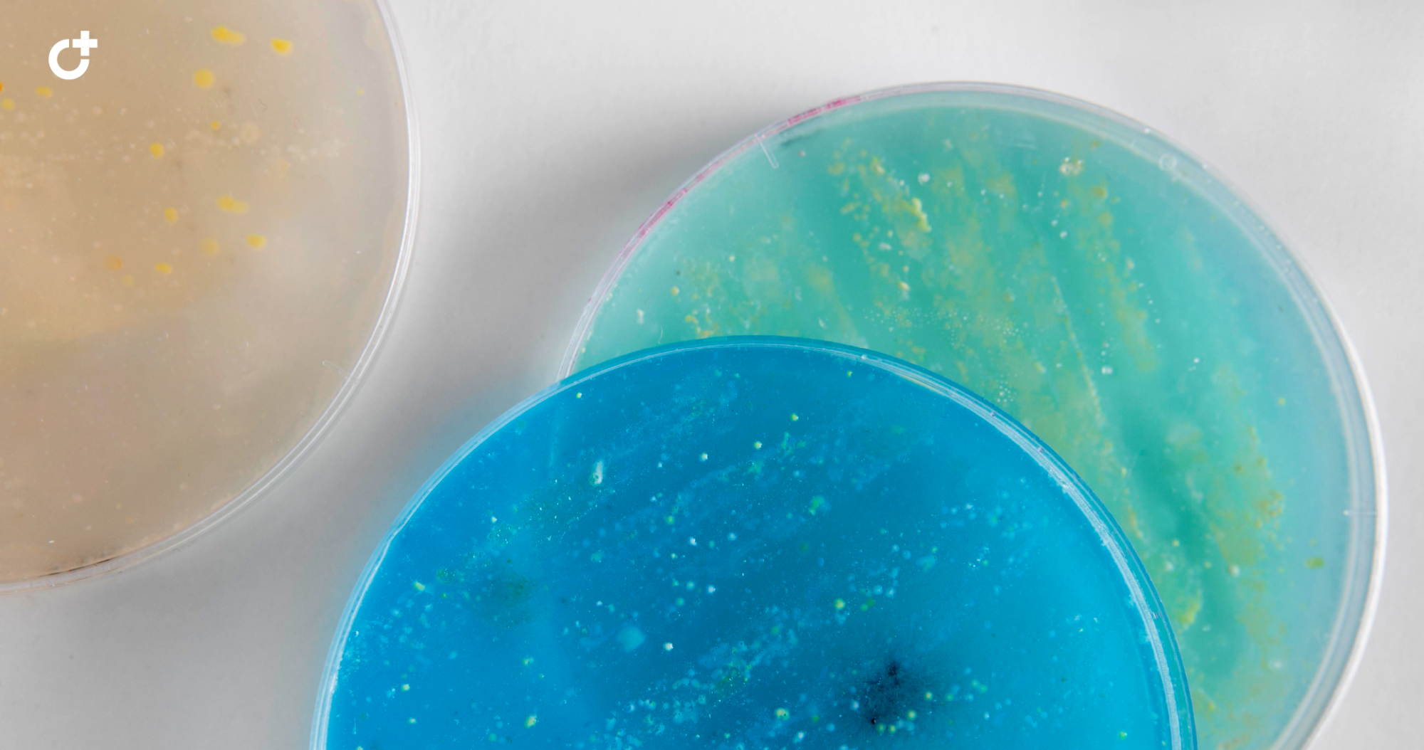 Бактериальные и вирусные инфекции мочеполовой системы: иммунобиологические нарушения и методы борьбы с ними