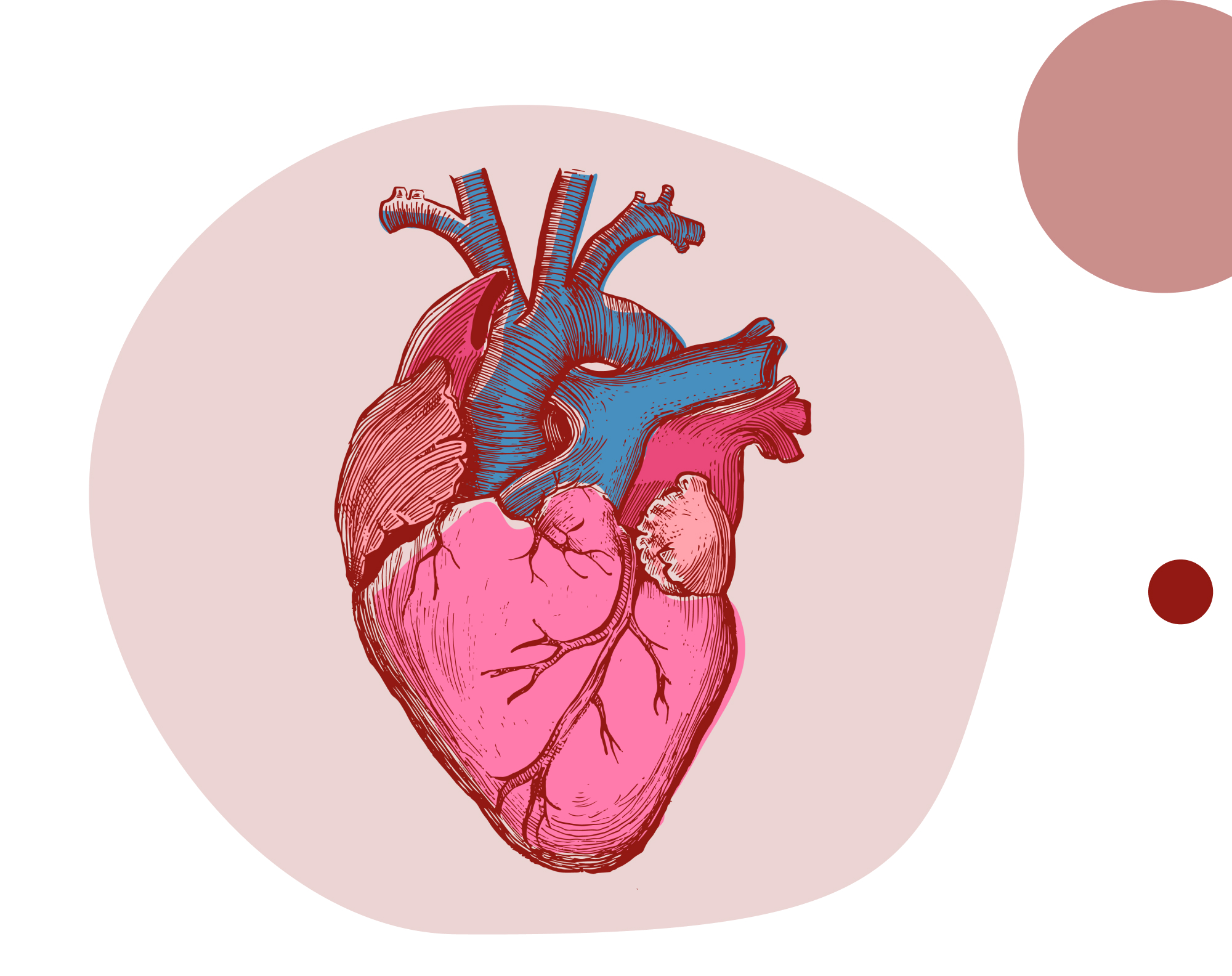 Бессимптомный тяжелый АС: влияет ли состояние ЛЖ на время ТИАК? Анализ исследования EARLY TAVR