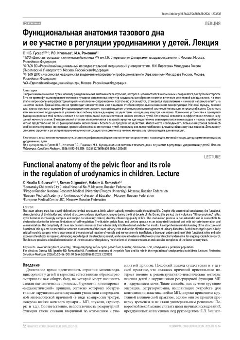 Функциональная анатомия тазового дна и ее участие в регуляции уродинамики у детей. Лекция