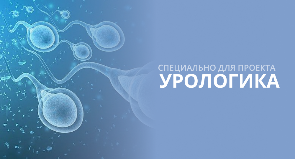 Возможности диагностики и лечения мужского бесплодия на амбулаторном приеме