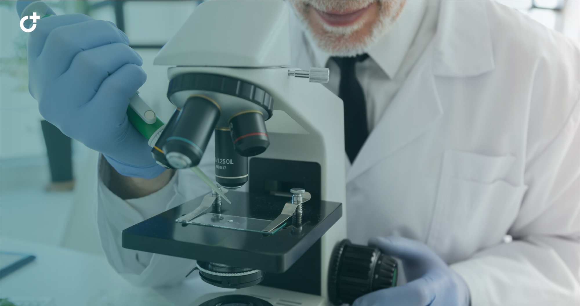 Почечно-клеточный рак (ПКР): всё о лекарственной терапии