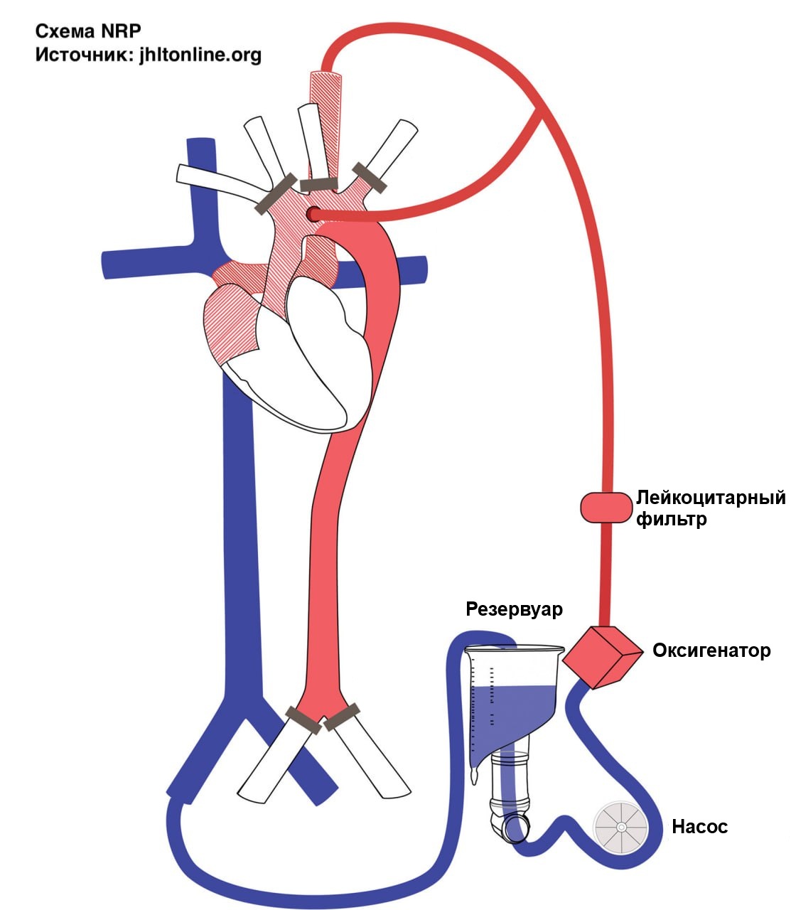 НРП схема (1).jpg