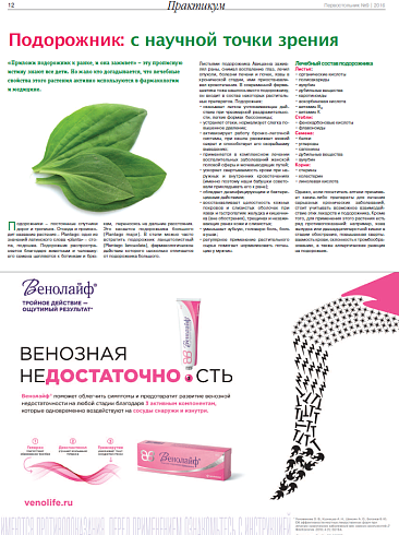 Подорожник: с научной точки зрения