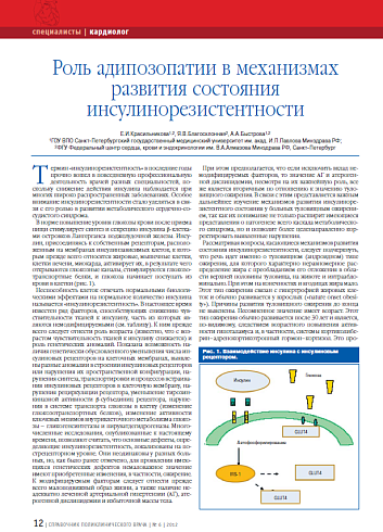 Роль адипозопатии в механизмах развития состояния инсулинорезистентности