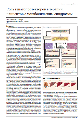 Роль гепатопротекторов в терапии пациентов с метаболическим синдромом