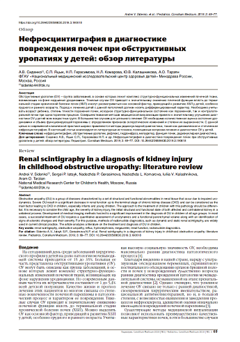 Нефросцинтиграфия в диагностике повреждения почек при обструктивных уропатиях у детей: обзор литературы