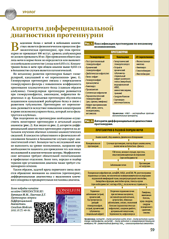Алгоритм дифференциальной диагностики протеинурии