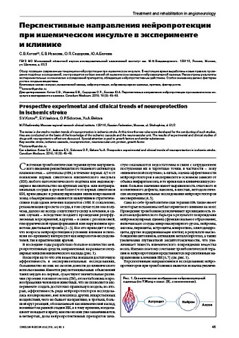 Перспективные направления нейропротекции при ишемическом инсульте в эксперименте  и клинике