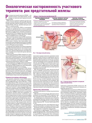Онкологическая настороженность участкового терапевта: рак предстательной железы