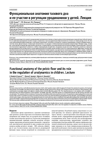 Функциональная анатомия тазового дна и ее участие в регуляции уродинамики у детей. Лекция