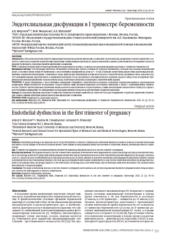Эндотелиальная дисфункция в I триместре беременности