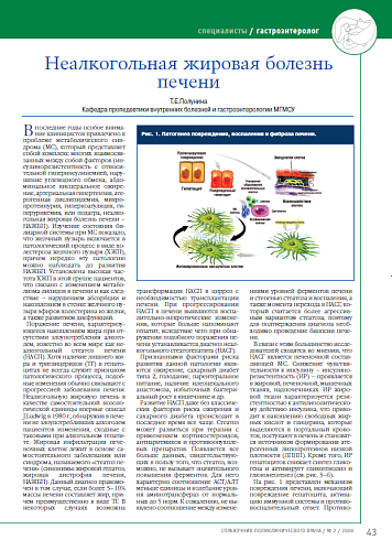 Неалкогольная жировая болезнь печени