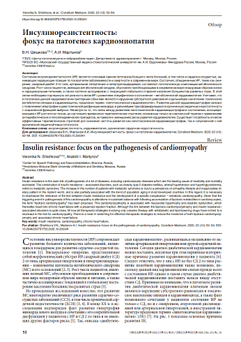 Инсулинорезистентность:  фокус на патогенез кардиомиопатии