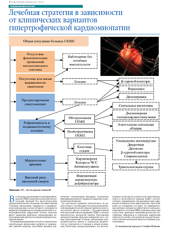 Лечебная стратегия в зависимости  от клинических вариантов гипертрофической кардиомиопатии
