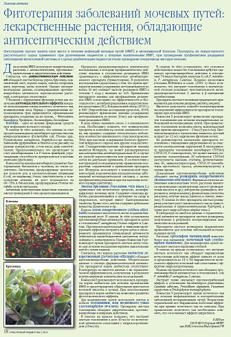 Фитотерапия заболеваний мочевых путей: лекарственные растения, обладающие антисептическим действием