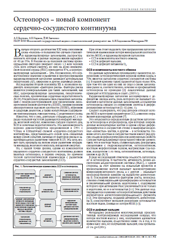 Остеопороз – новый компонент  сердечно-сосудистого континуума