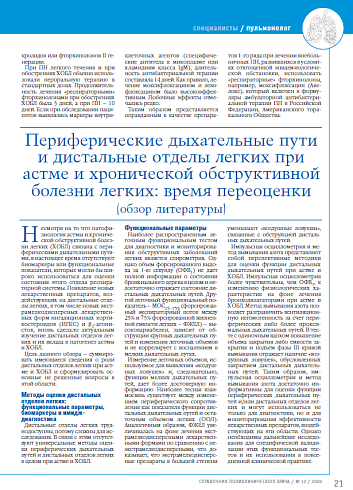 Периферические дыхательные пути и дистальные отделы легких при астме и хронической обструктивной болезни легких: время переоценки (обзор литературы)