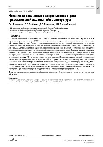 Механизмы взаимосвязи атеросклероза и рака предстательной железы: обзор литературы