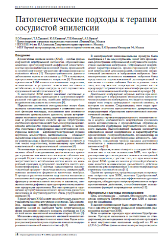 Патогенетические подходы к терапии сосудистой эпилепсии