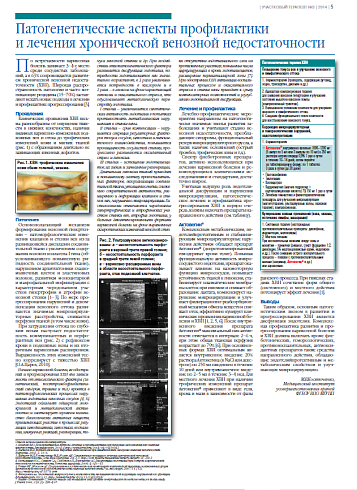 Патогенетические аспекты профилактики  и лечения хронической венозной недостаточности