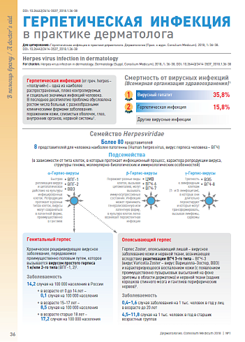 Герпетическая  инфекция  в практике дерматолога