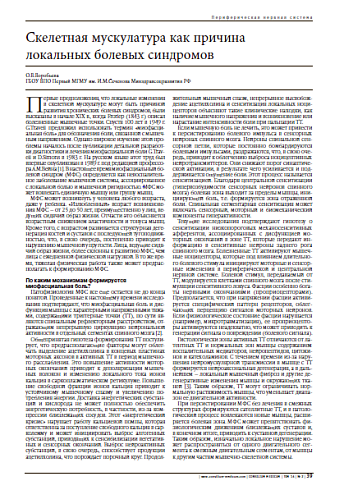 Скелетная мускулатура как причина локальных болевых синдромов