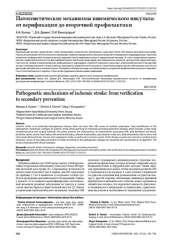 Патогенетические механизмы ишемического инсульта: от верификации до вторичной профилактики