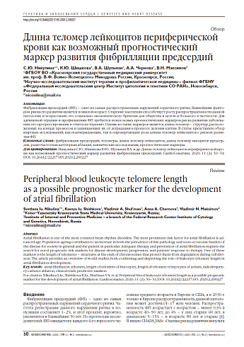 Длина теломер лейкоцитов периферической крови как возможный прогностический маркер развития фибрилляции предсердий