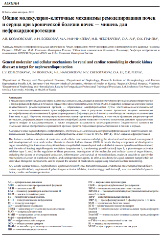 Общие молекулярно-клеточные механизмы ремоделирования почек и сердца при хронической болезни почек - мишень нефрокардиопротекции
