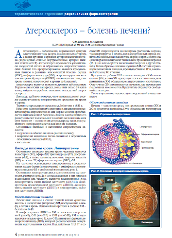 Атеросклероз – болезнь печени?
