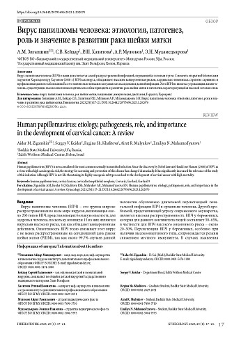 Вирус папилломы человека: этиология, патогенез, роль и значение в развитии рака шейки матки