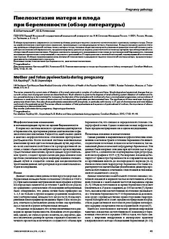Пиелоэктазия матери и плода  при беременности (обзор литературы)