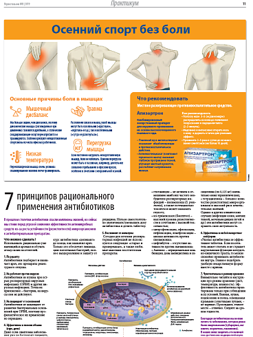 Осенний спорт без боли