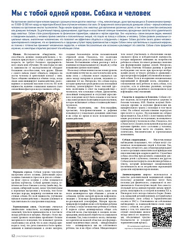 Мы с тобой одной крови. Собака и человек