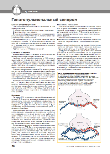Гепатопульмональный синдром
