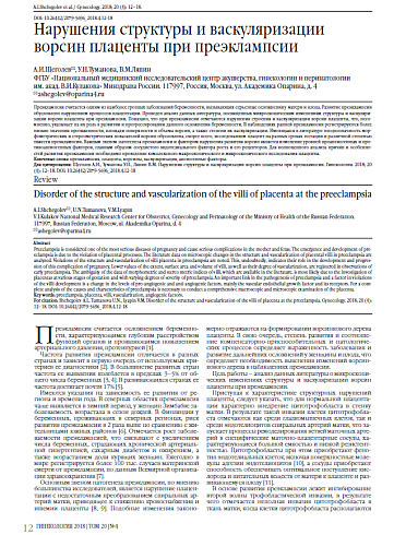 Нарушения структуры и васкуляризации ворсин плаценты при преэклампсии
