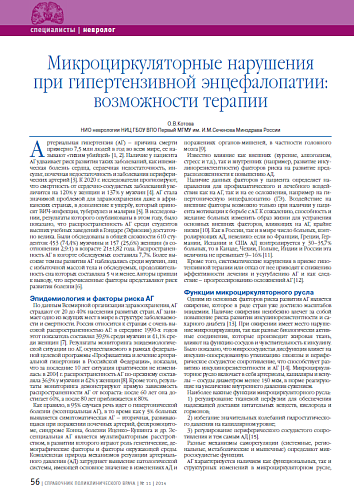 Микроциркуляторные нарушения при гипертензивной энцефалопатии: возможности терапии