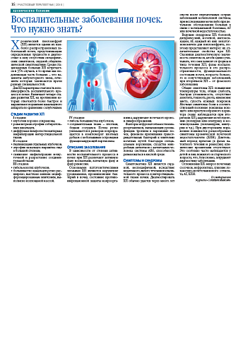 Воспалительные заболевания почек. Что нужно знать?
