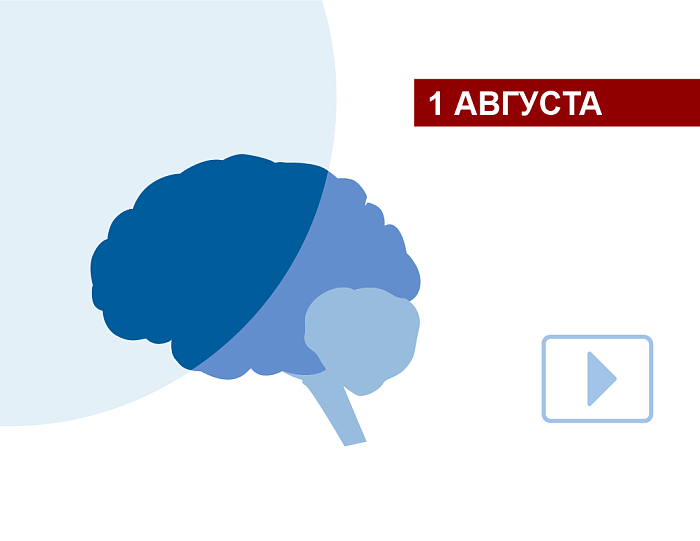 Клинические различия передних и задних форм афазии