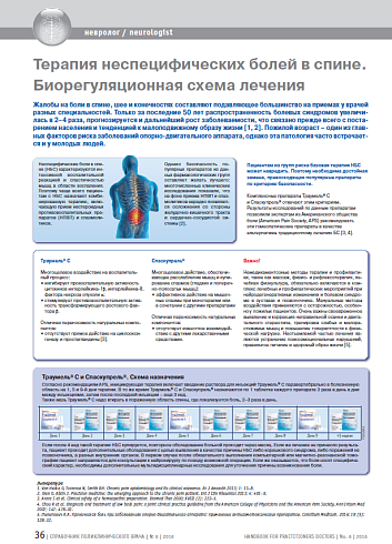 Терапия неспецифических болей в спине. Биорегуляционная схема лечения