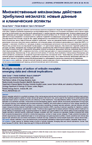 Множественные механизмы действия эрибулина мезилата: новые данные  и клинические аспекты 