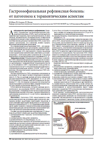 Гастроэзофагеальная рефлюксная болезнь:  от патогенеза к терапевтическим аспектам