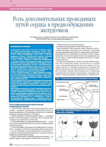 Роль дополнительных проводящих путей сердца в предвозбуждении желудочков