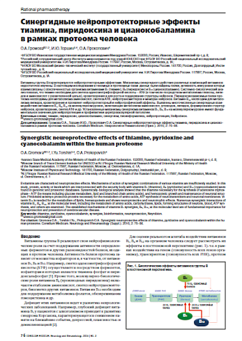 Синергидные нейропротекторные эффекты  тиамина, пиридоксина и цианокобаламина  в рамках протеома человека