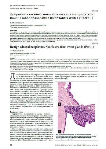 Доброкачественные новообразования из придатков кожи. Новообразования из потовых желез (Часть 1)