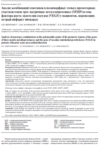 Анализ комбинаций генотипов в полиморфных точках промоторных участков генов трех матричных металлопротеиназ (ММР) и гена фактора роста эндотелия сосудов (VEGF) у пациентов, перенесших острый инфаркт миокарда
