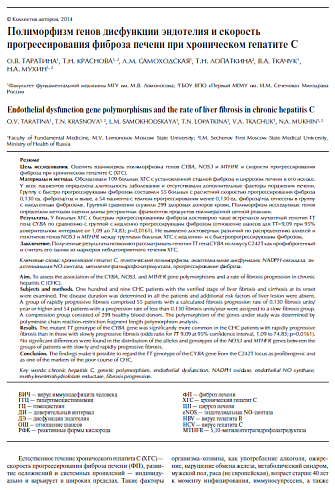 Полиморфизм генов дисфункции эндотелия и скорость прогрессирования фиброза печени при хроническом гепатите С