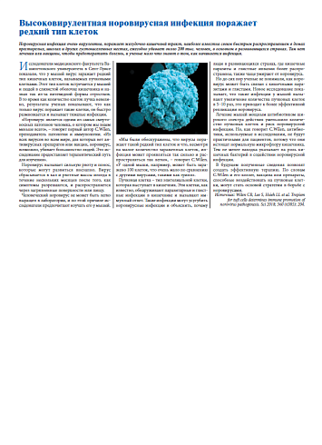 Высоковирулентная норовирусная инфекция поражает  редкий тип клеток